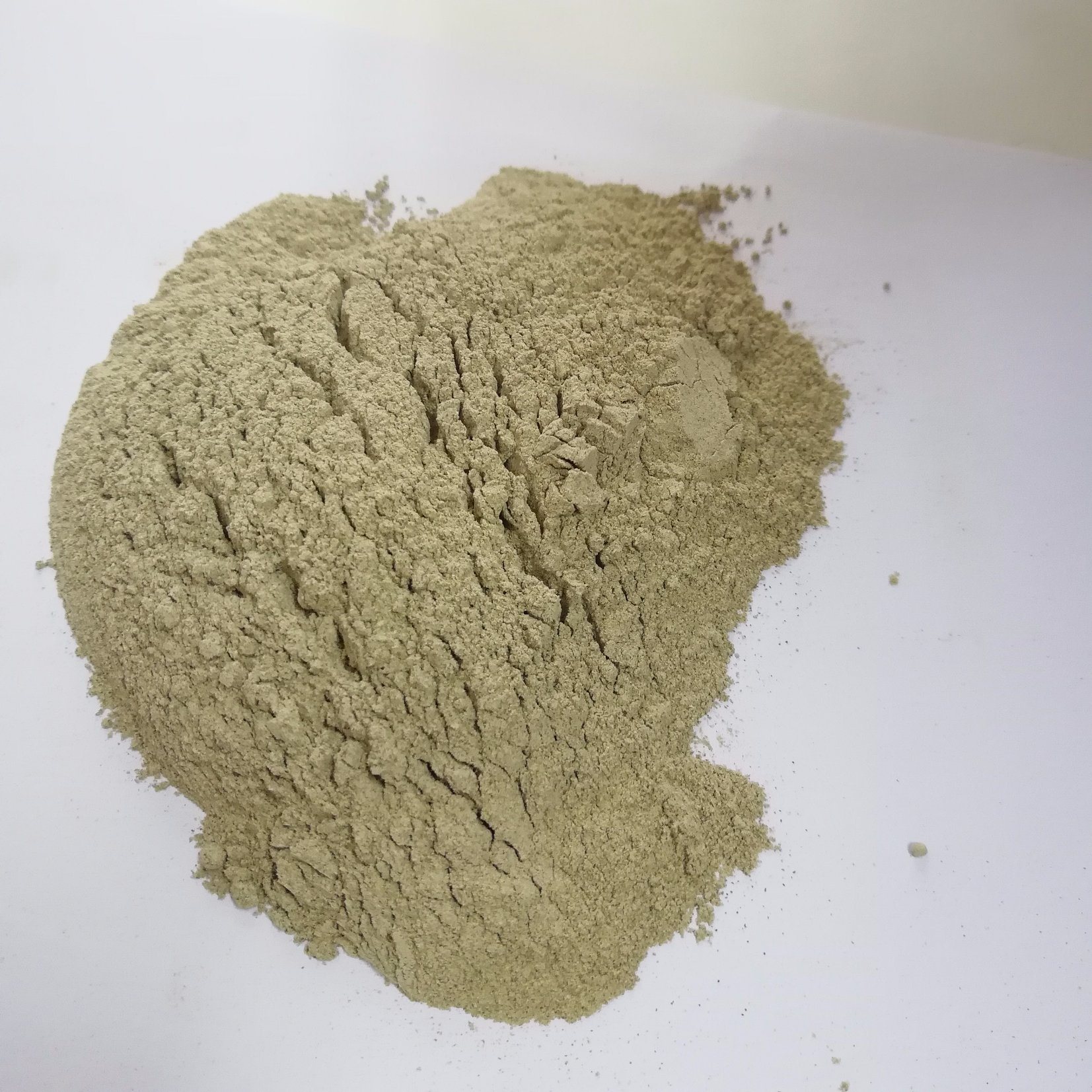 Extract Algae Powder Seaweed Extract Powder Kelp Extract Powder