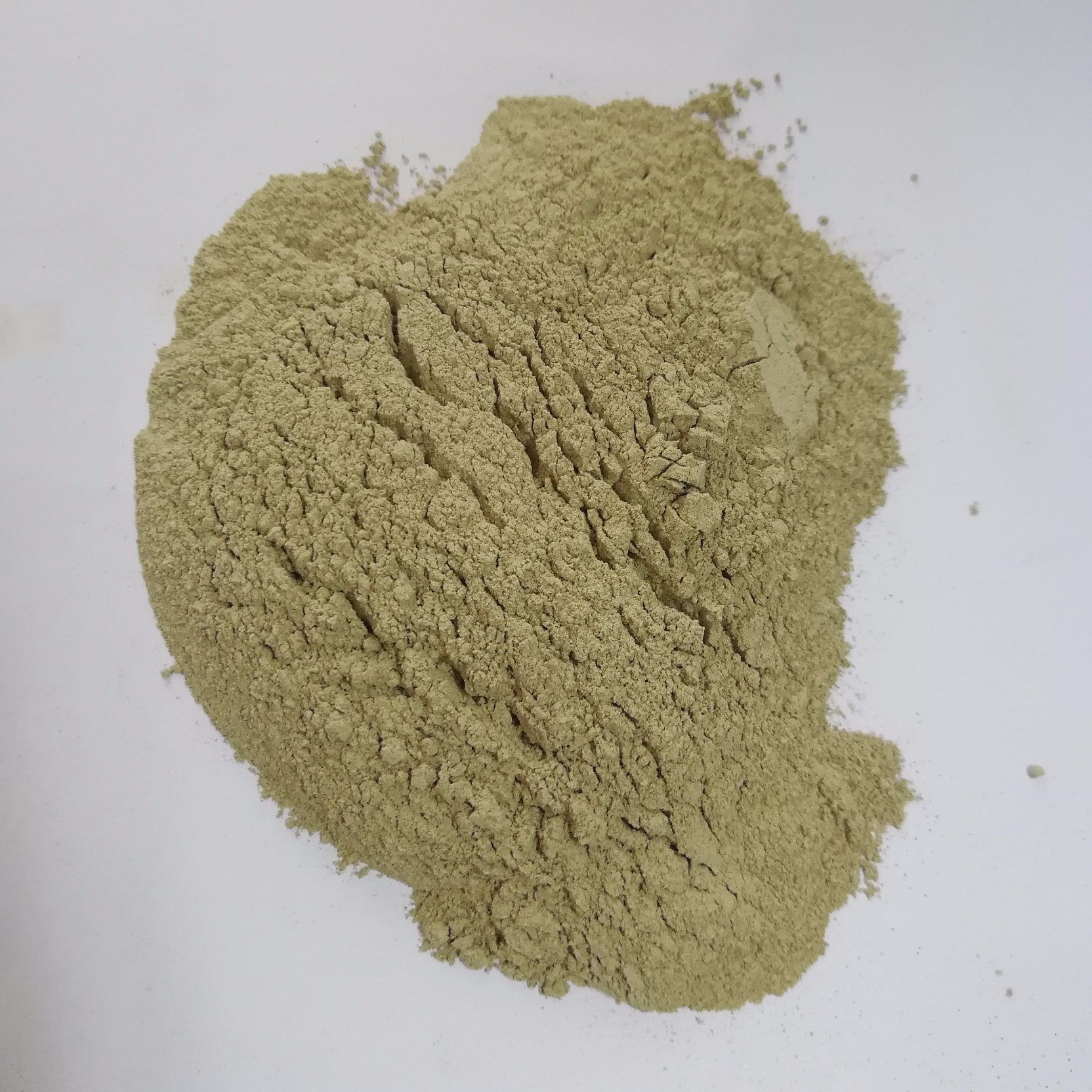 Extract Algae Powder Seaweed Extract Powder Kelp Extract Powder