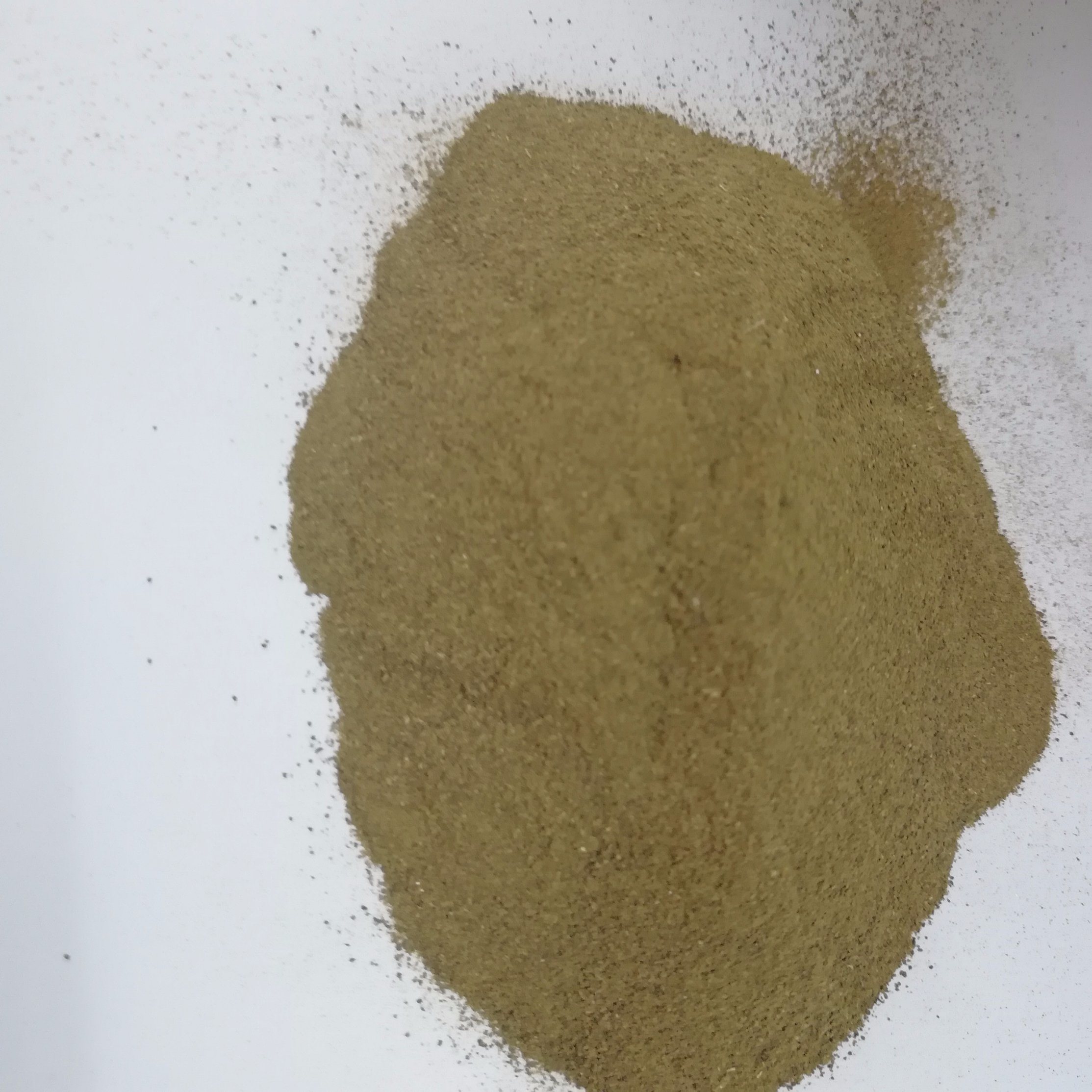 High Quality Seaweed Extract Powder, Seaweed Fertilizer, Kelp Powder