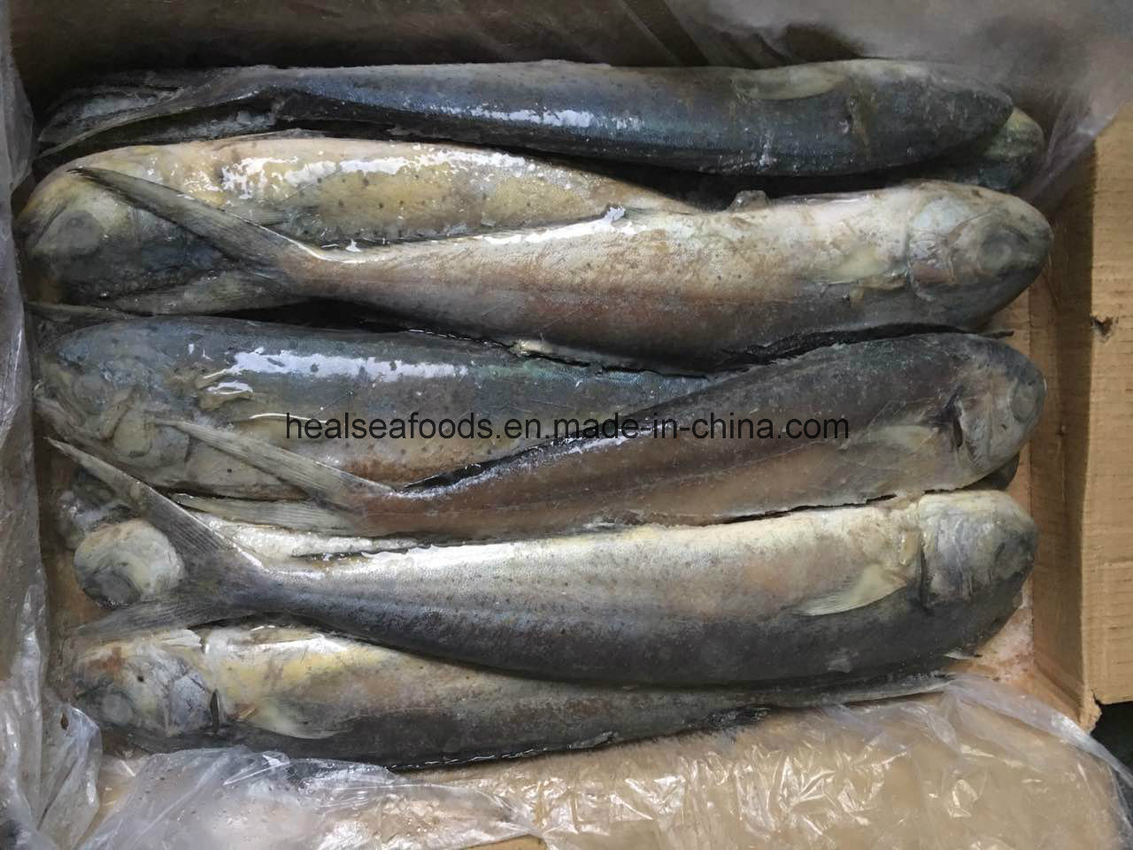 Mahi Seafood Frozen Fish Fillet Mahi Mahi Wholesale Price