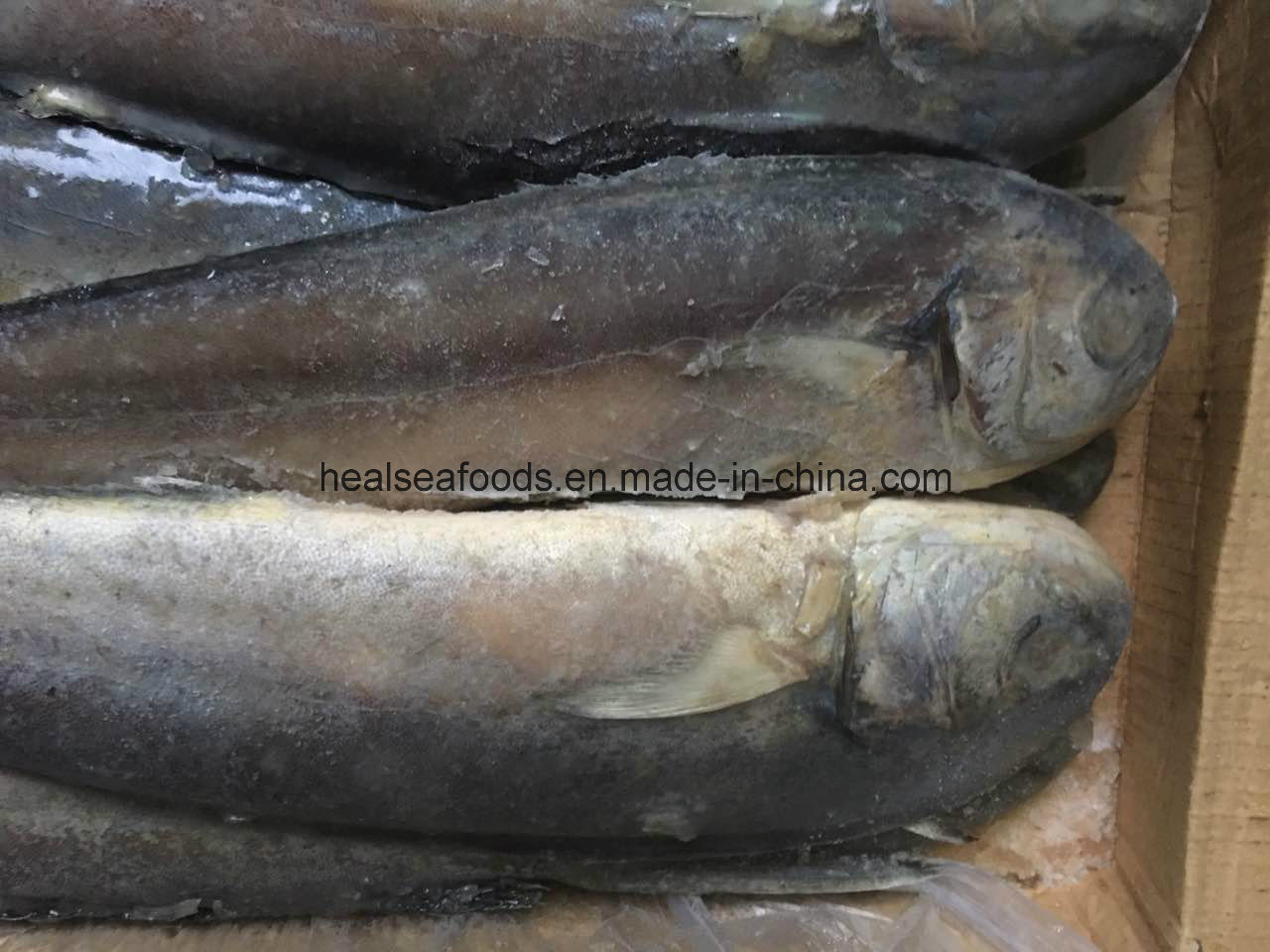 Mahi Seafood Frozen Fish Fillet Mahi Mahi Wholesale Price