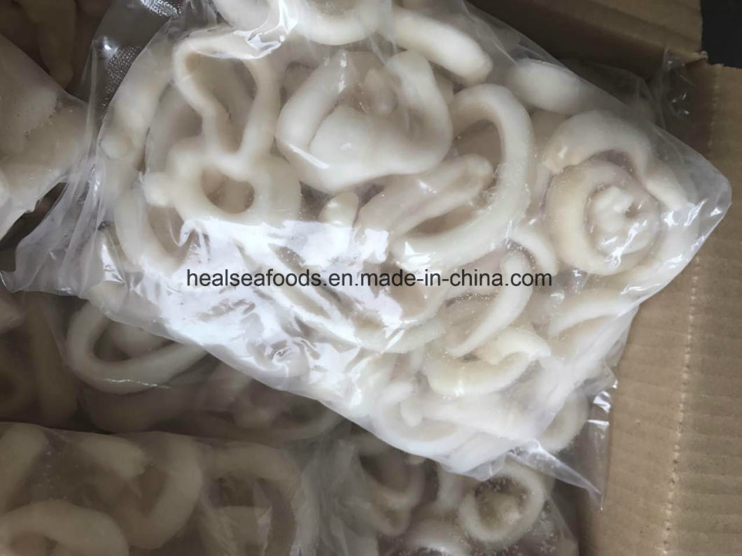 Best Quality Frozen Squid Rings /Pacific Squid