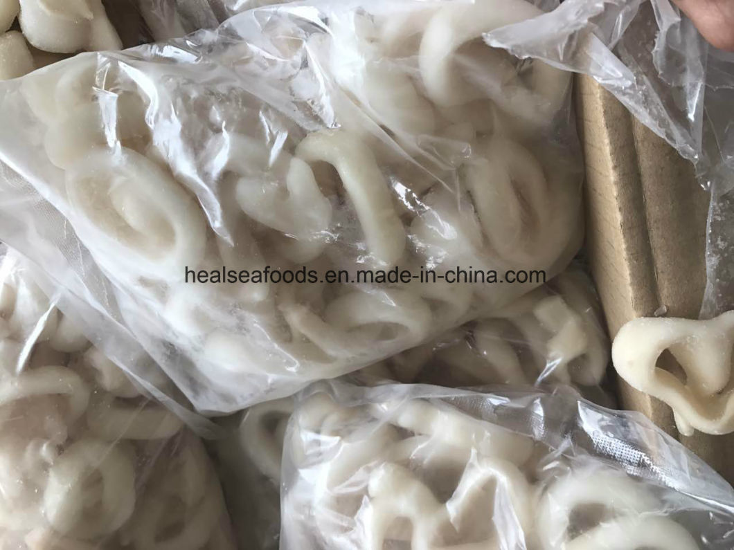 Best Quality Frozen Squid Rings /Pacific Squid