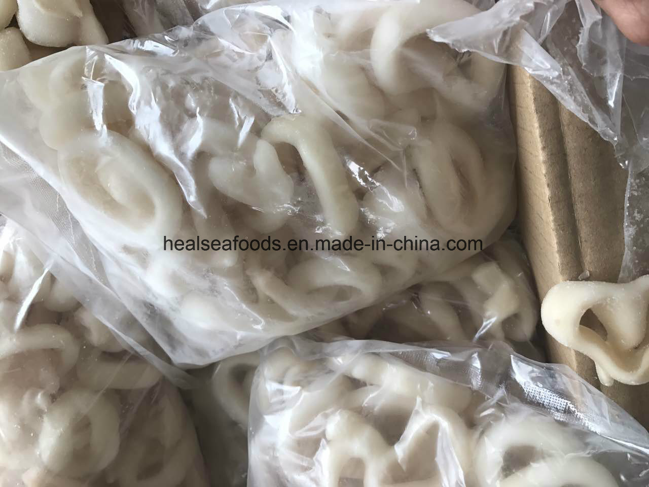 Best Quality Frozen Squid Rings /Pacific Squid