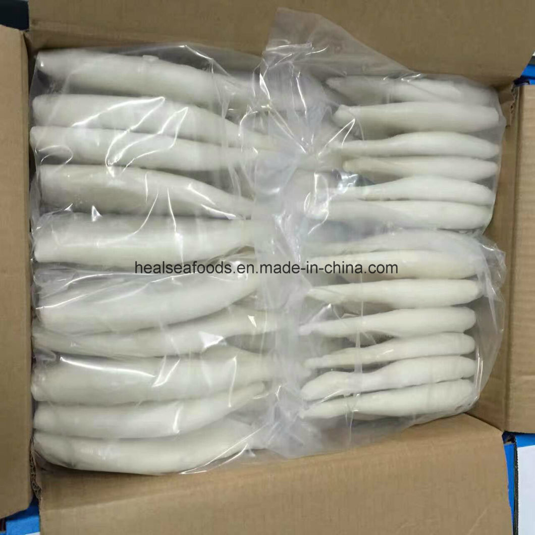 Frozen Slice Squid Raw Material Pacific Squid