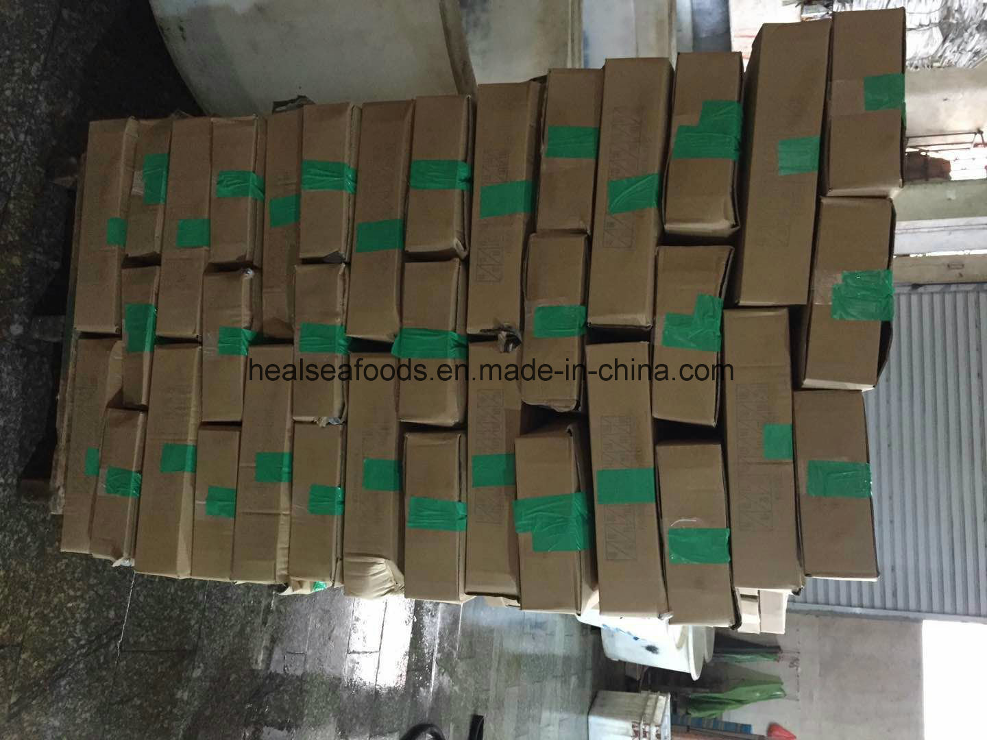 New Landing Pacific Mackerel Fish for Dar Es Salaam Transit to Congo