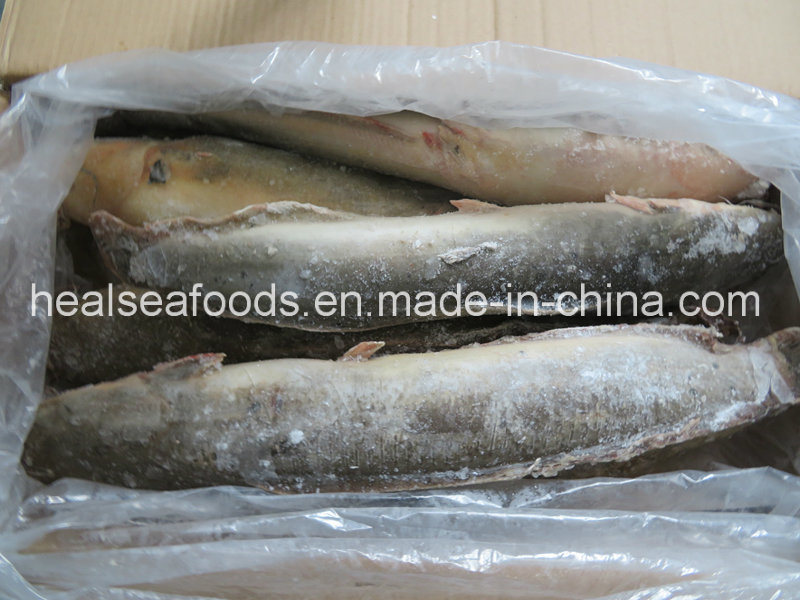 Frozen Catfish Whole Round Exported to Africa