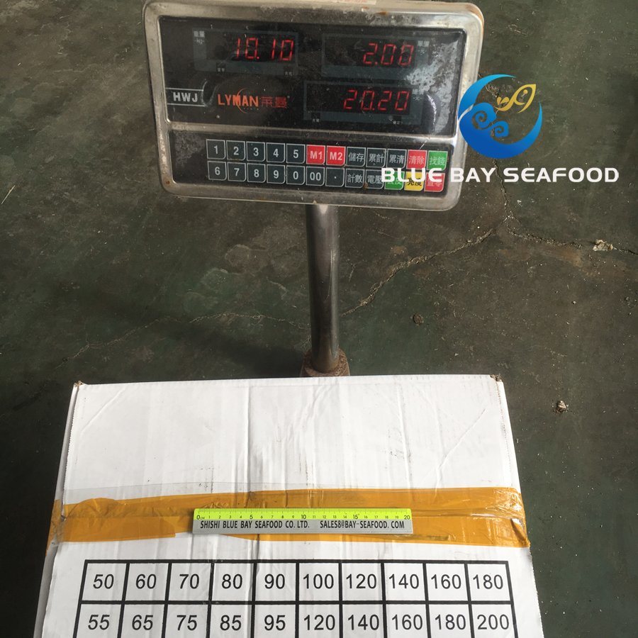 IQF High Quality Frozen Round Scad Decapterus Maruadsi/Trachurus Japonicus Horse Mackerel