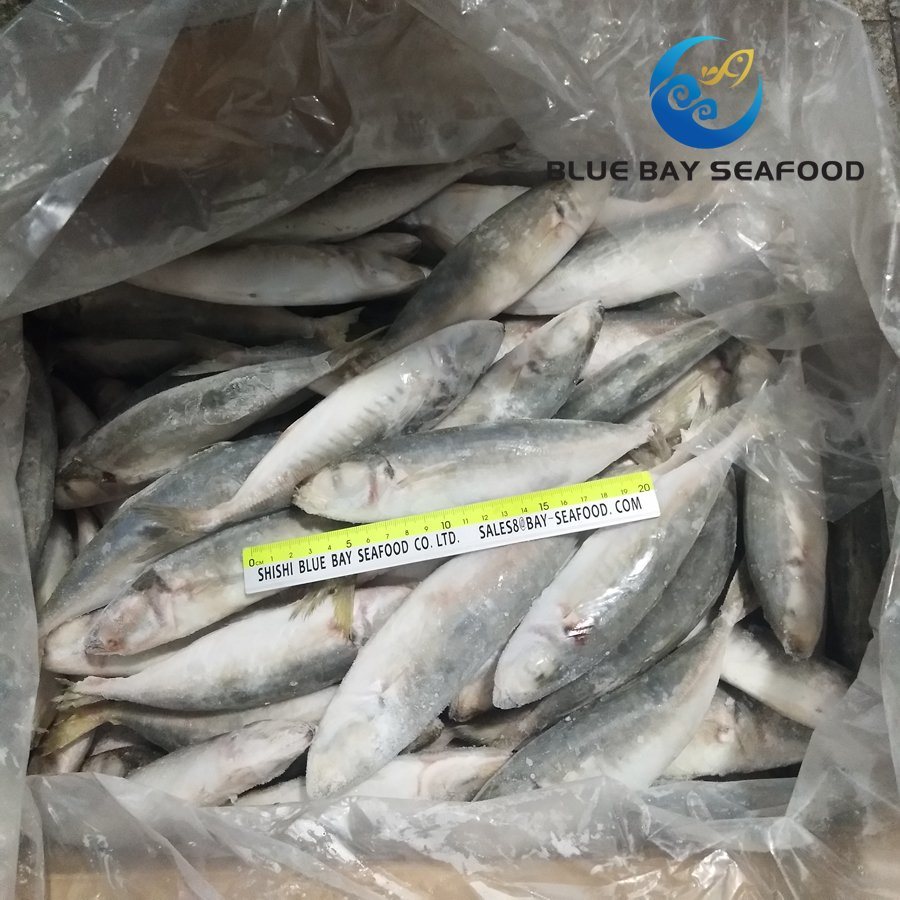 Size 6-8 PCS/Kg New Light Catching Frozen Round Scad Fish Food Decapterus Maruadsi