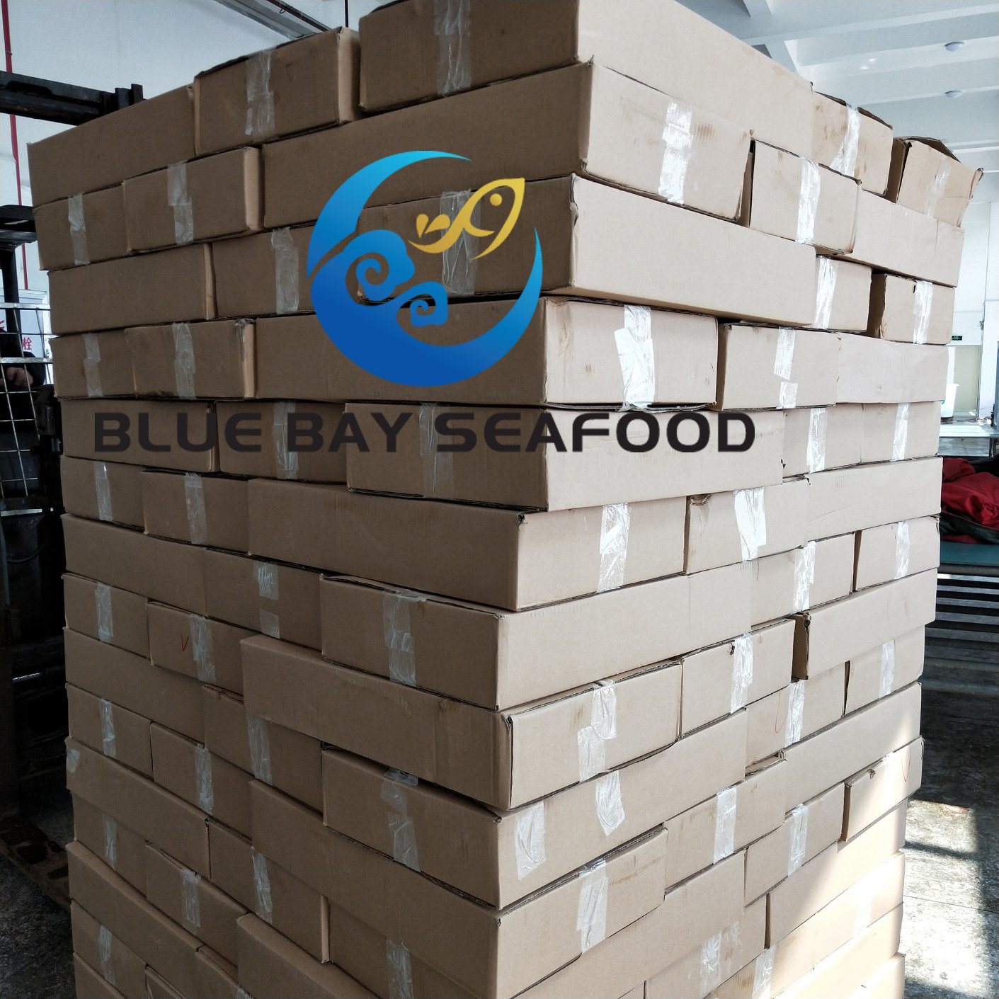 Frozen Sardine Fish for Bait Size 120-140 PCS/Carton with Cheap Price