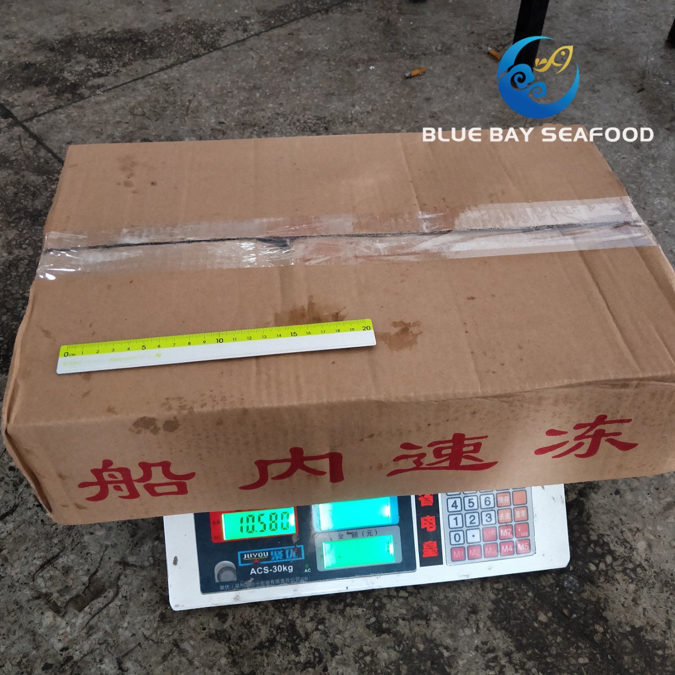 Seafrozen Hgt Frozen Fresh Fish Pacific Mackerel for Sale Sea Food