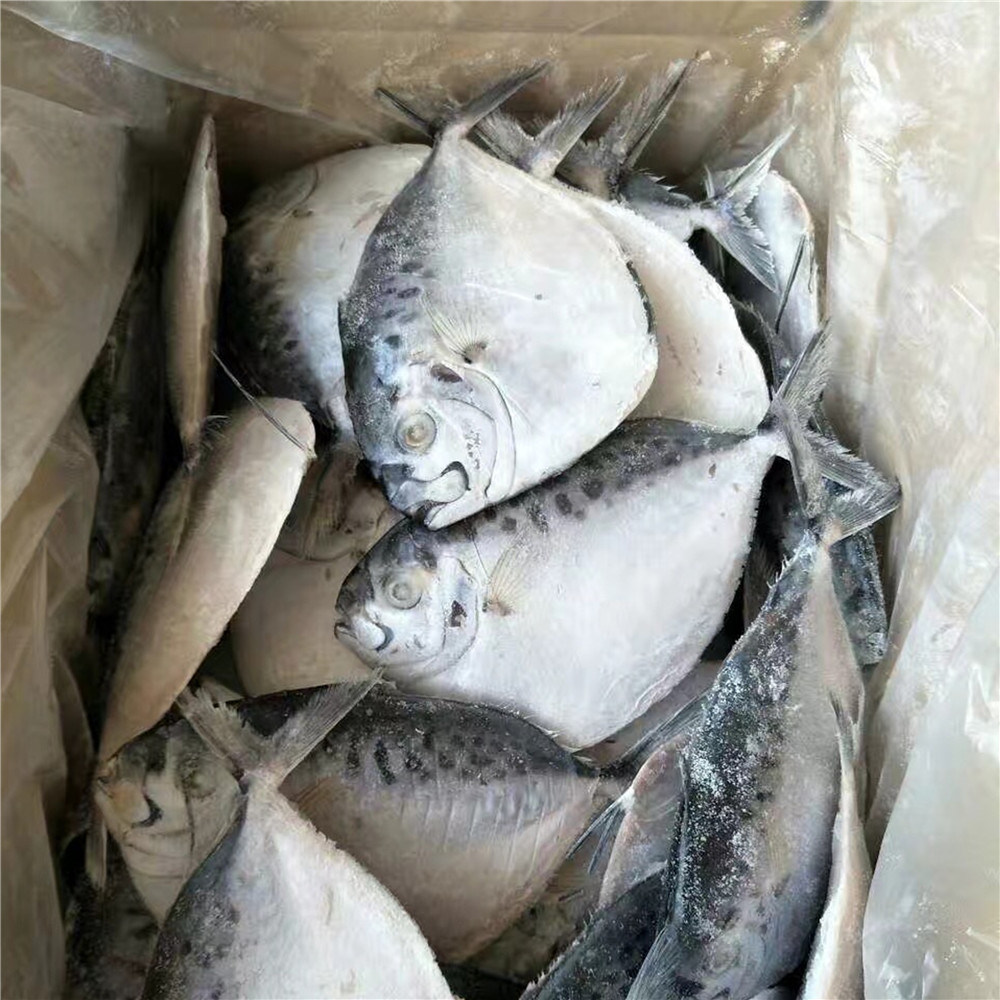 Сон мороженая рыба. Самая дешевая мороженная рыба. Рыба Луна мальки. Рыба самая дешевая замороженная. Свежемороженая рыба китайская название.