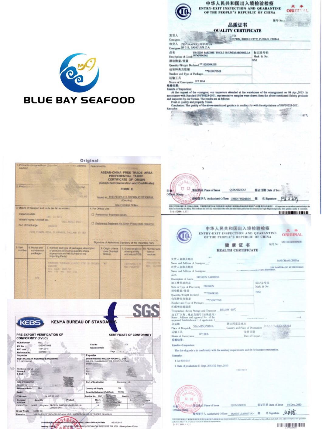 Fresh Frozen Fish W/R IQF Frozen Round Scad 10-12PCS/Kg for Sale