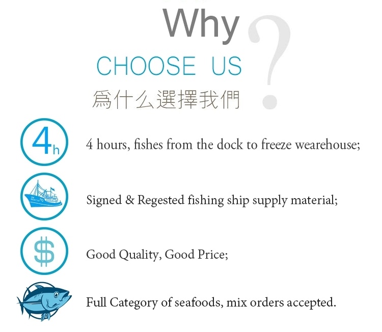 Fresh Frozen Fish W/R IQF Frozen Round Scad 10-12PCS/Kg for Sale