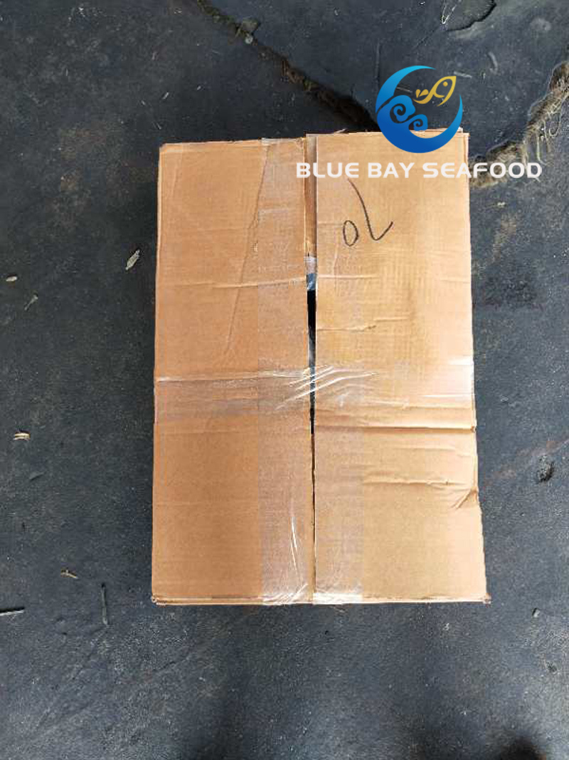 Small Size Pacific Fish Mackerel for Sale