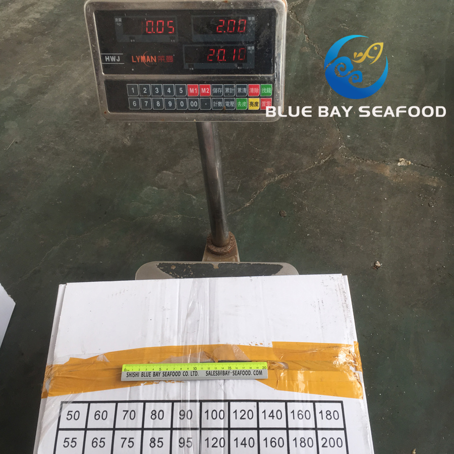 High Quality Frozen Round Scad IQF Whole Round Fish Food