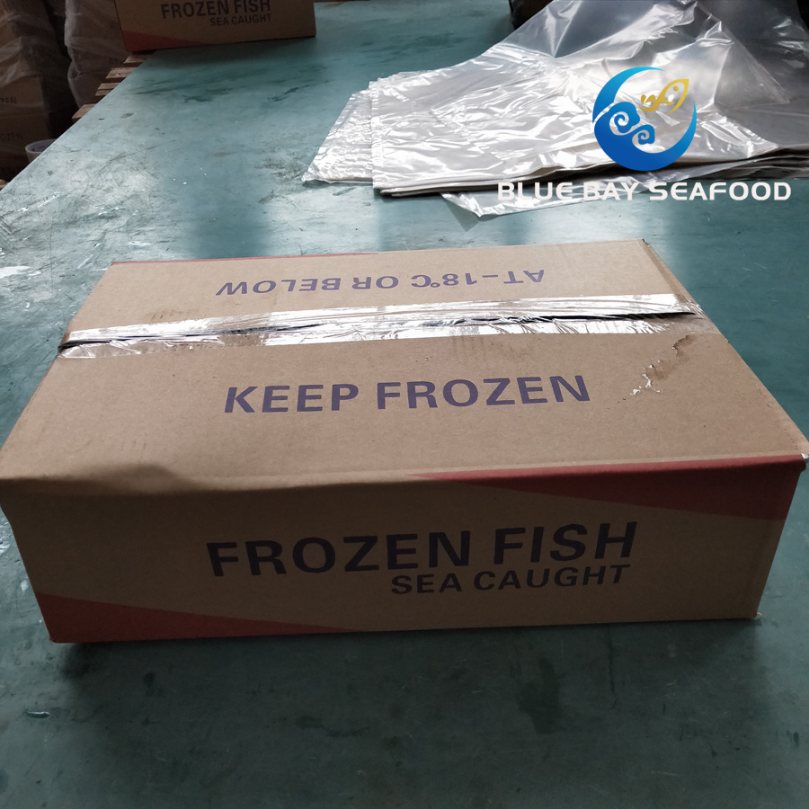 Sea Fish Seafood with Fresh Frozen Pacific Mackerel Fish