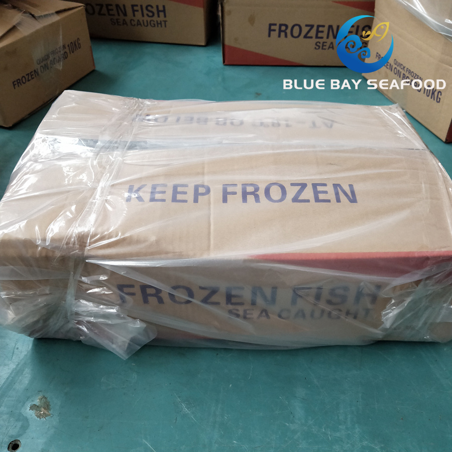 Sea Fish Seafood with Fresh Frozen Pacific Mackerel Fish