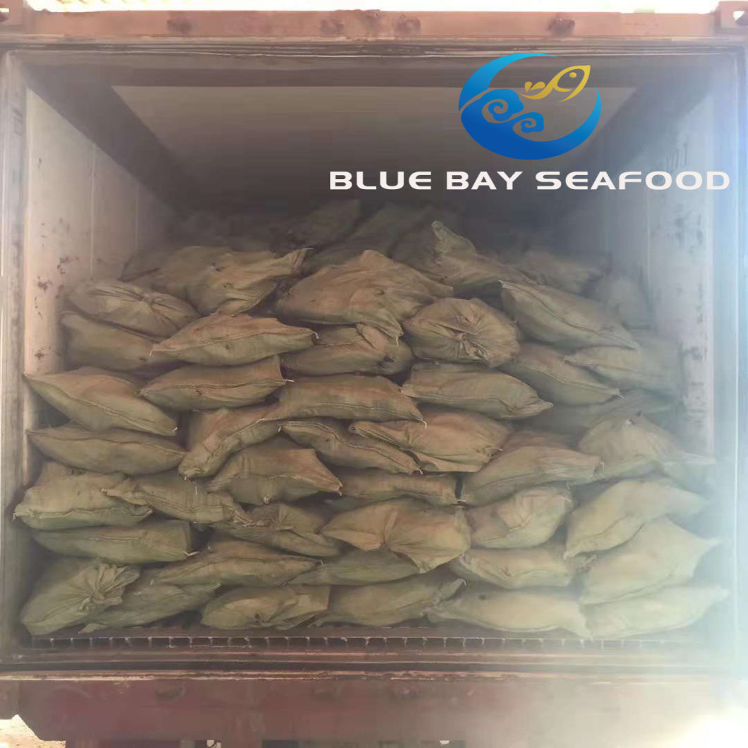 Frozen Bonito Tuna Auxis Thazard Seafood Fish with Good Price