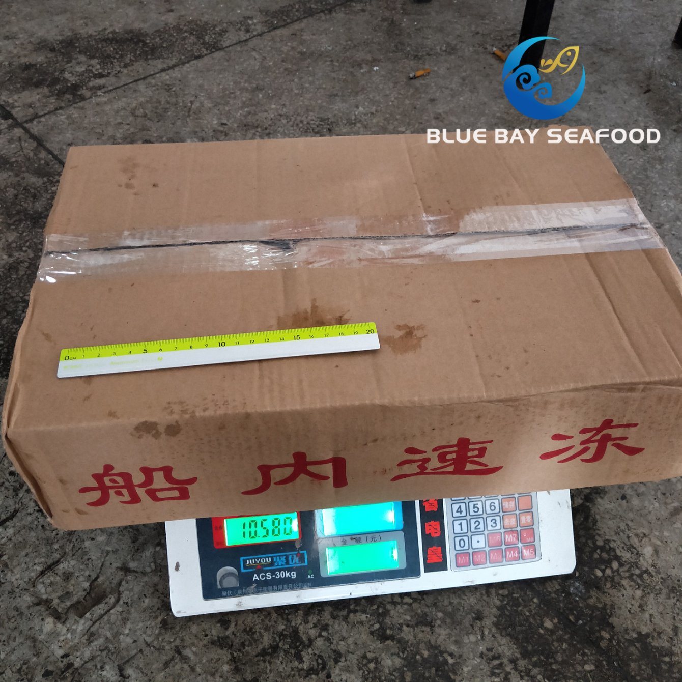 Ready Stock Good Quality of 200-300g Frozen Whole Pacific Mackerel
