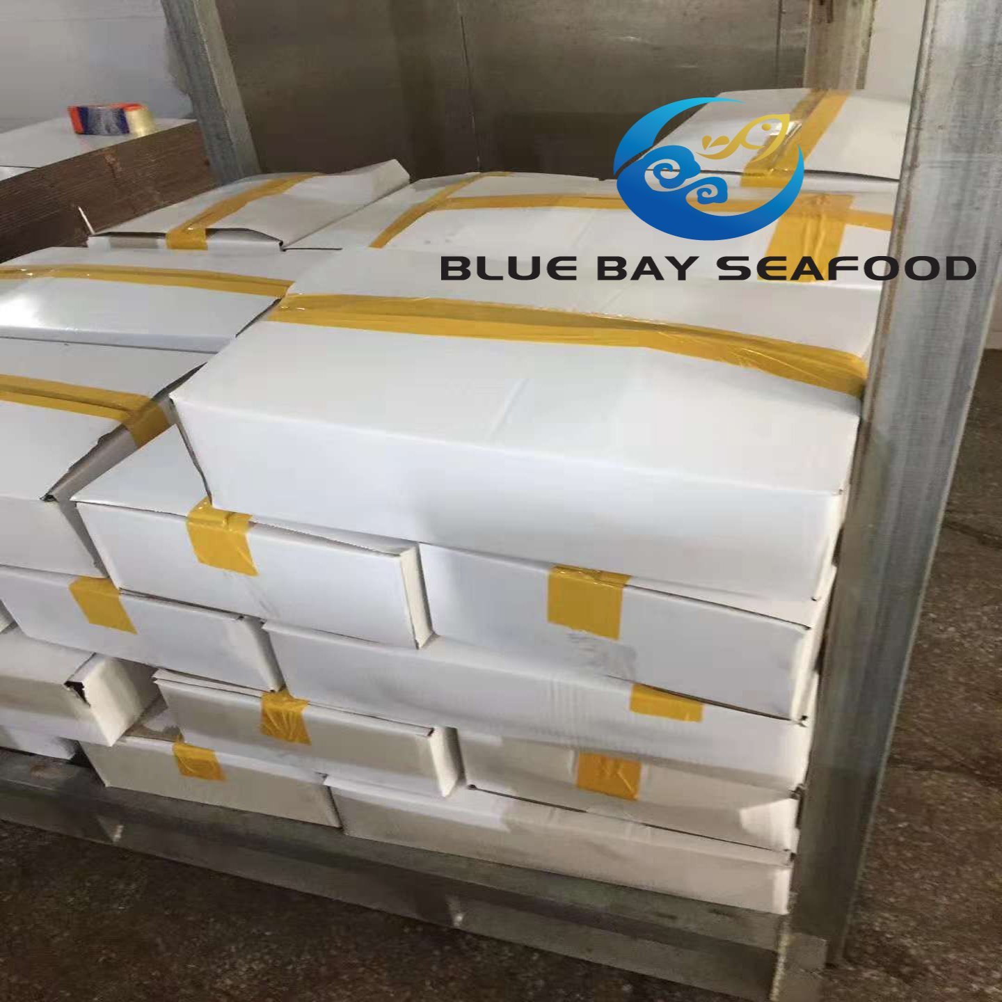 Board Frozen Pacific Mackerel 300-500g Frozen Fish for Market