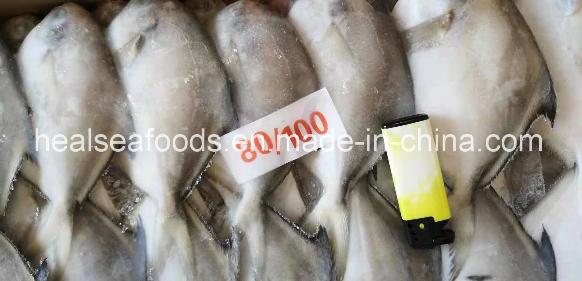 Supply Diffirent Sizes of Frozen Silver Pomfret