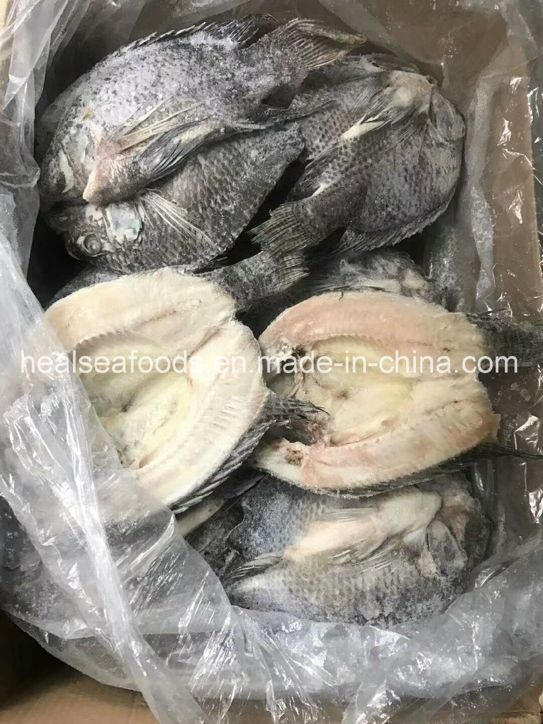 Frozen Skin-on Tilapia Butterfly Cut Fillet For Sale,china Price 