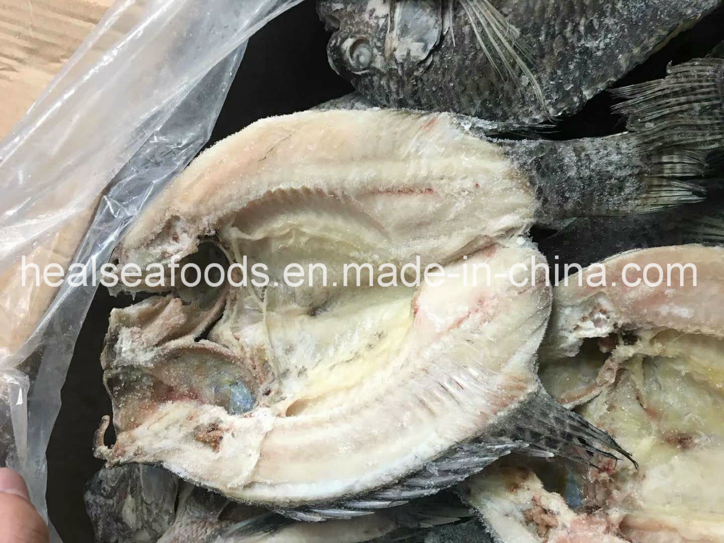 Frozen Skin On Tilapia Butterfly Cut Fillet For Sale China Price Supplier 21food