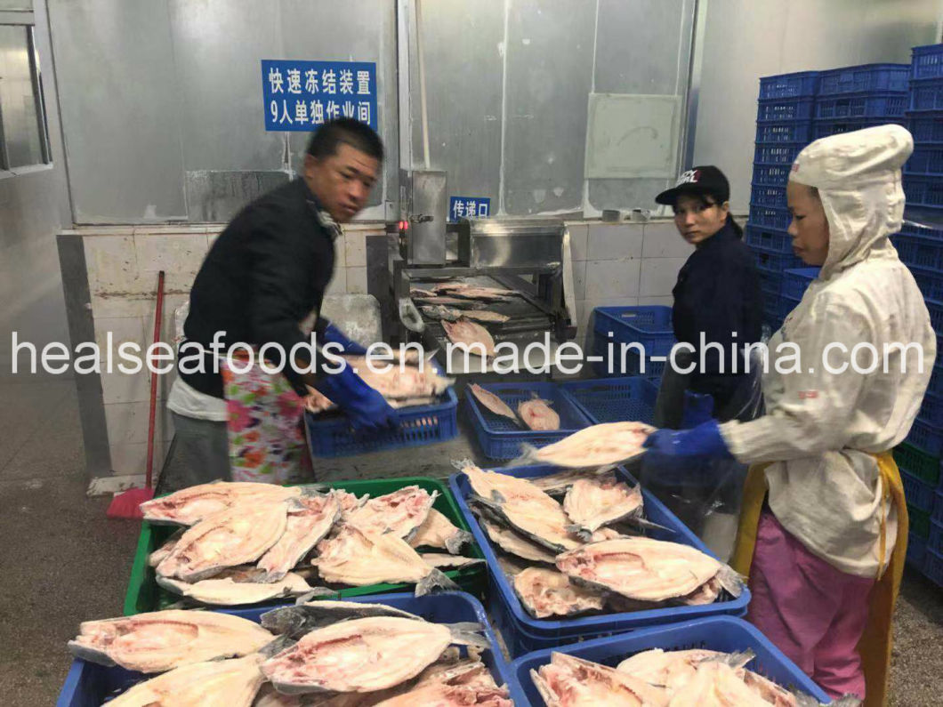 Frozen Pangasius/Basa Fish Butterfly Origin in China
