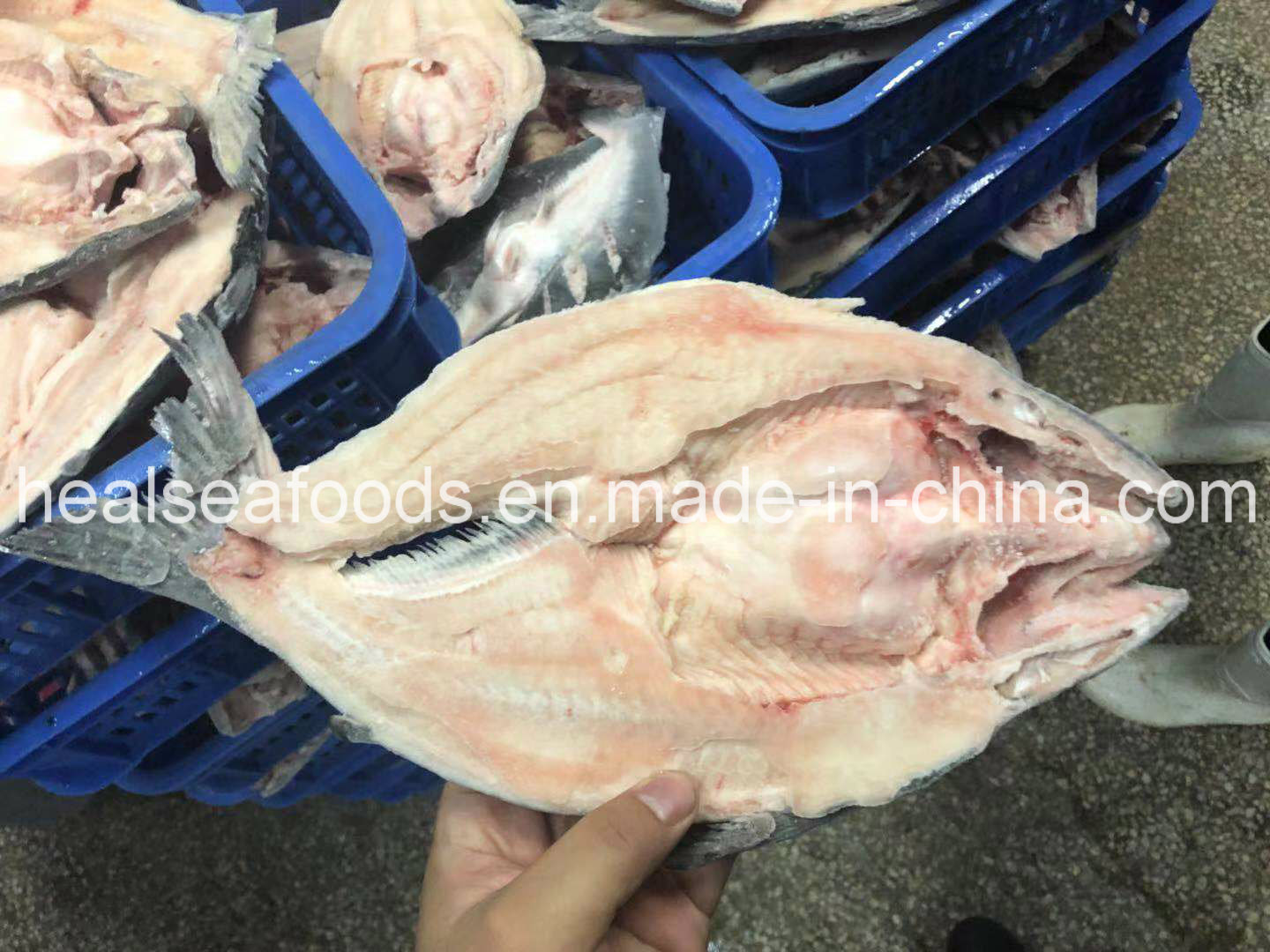 Frozen Pangasius/Basa Fish Butterfly Origin in China