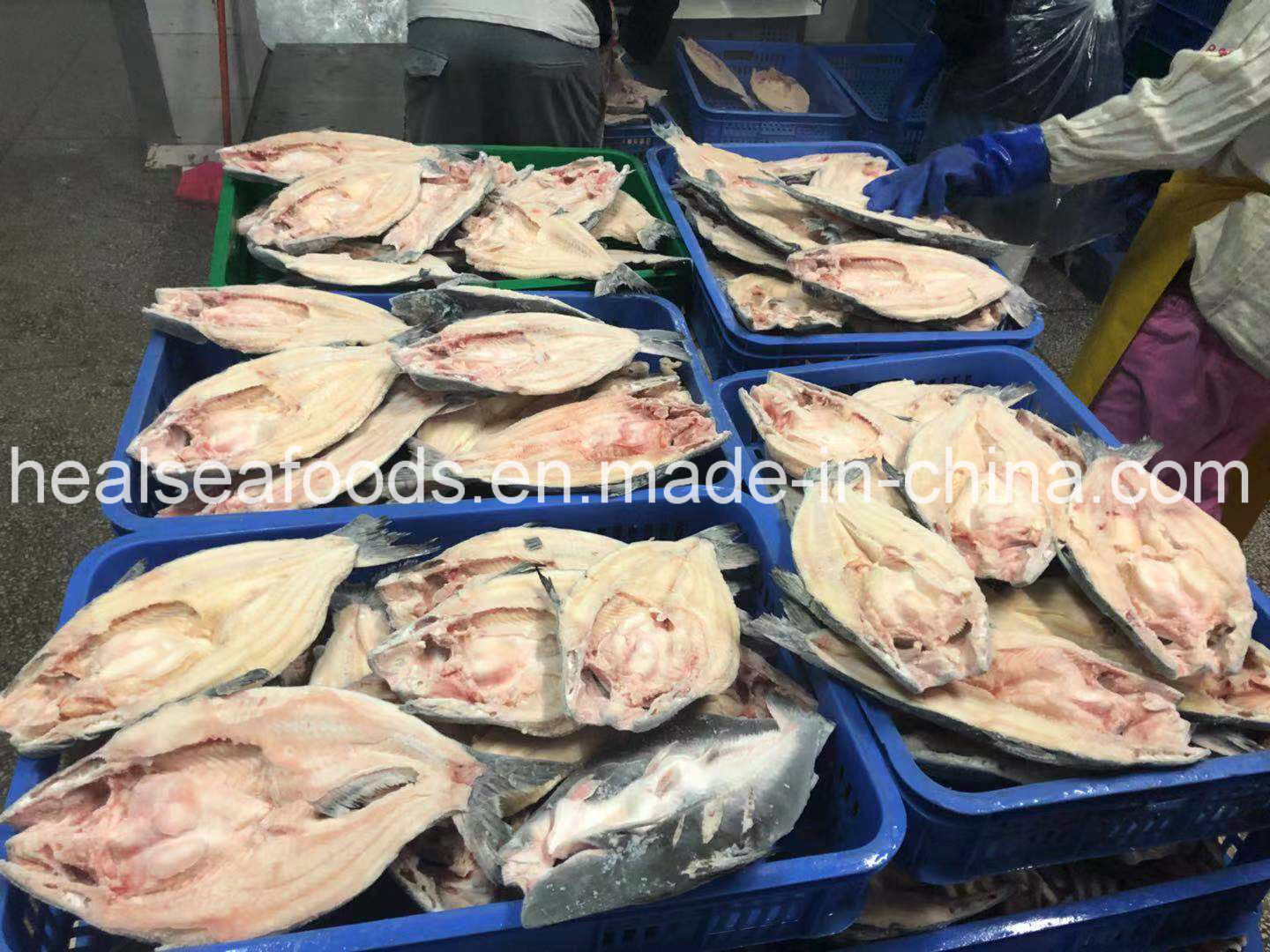 Frozen Pangasius/Basa Fish Butterfly Origin in China
