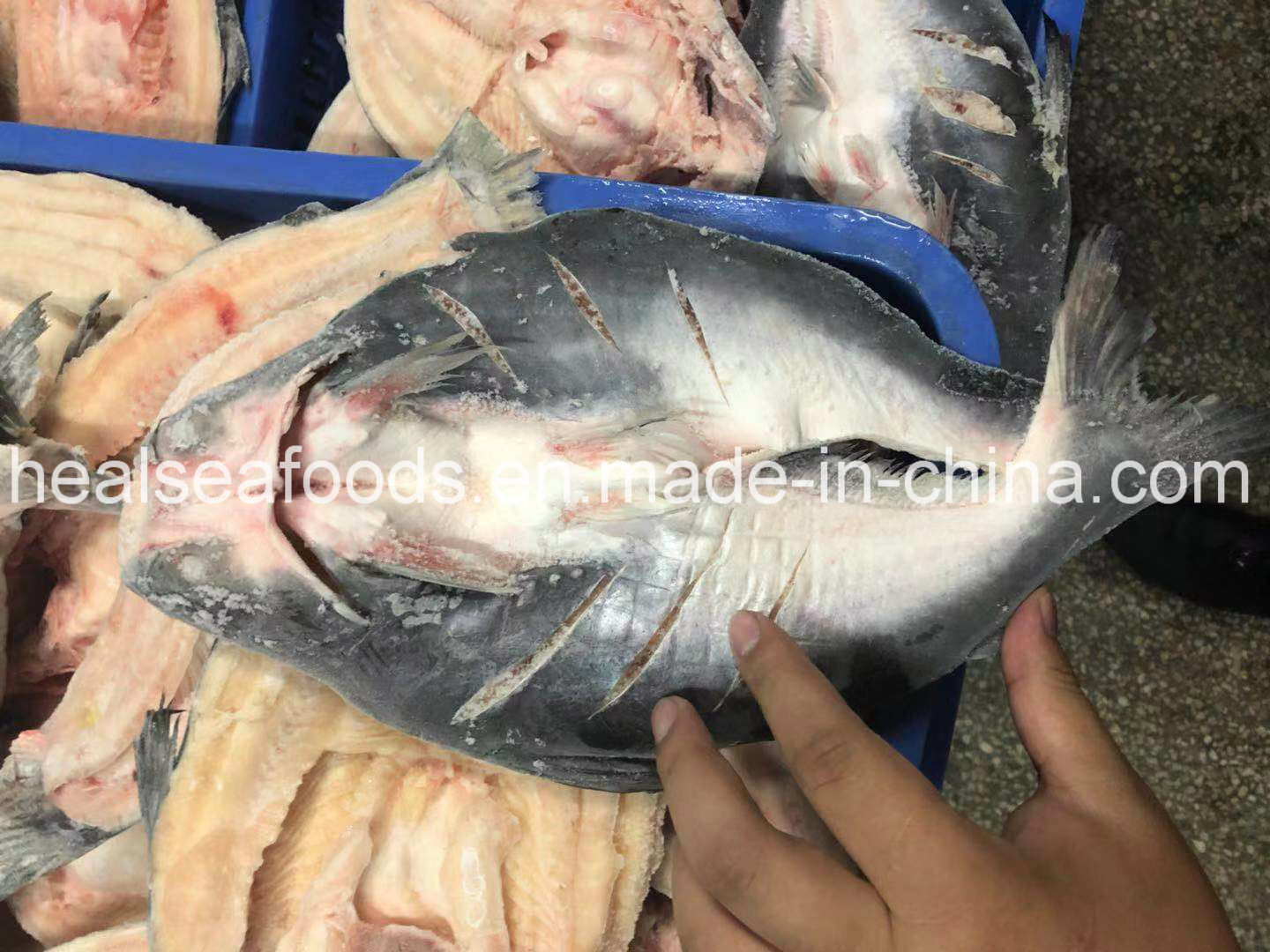 Frozen Pangasius/Basa Fish Butterfly Origin in China,China price ...