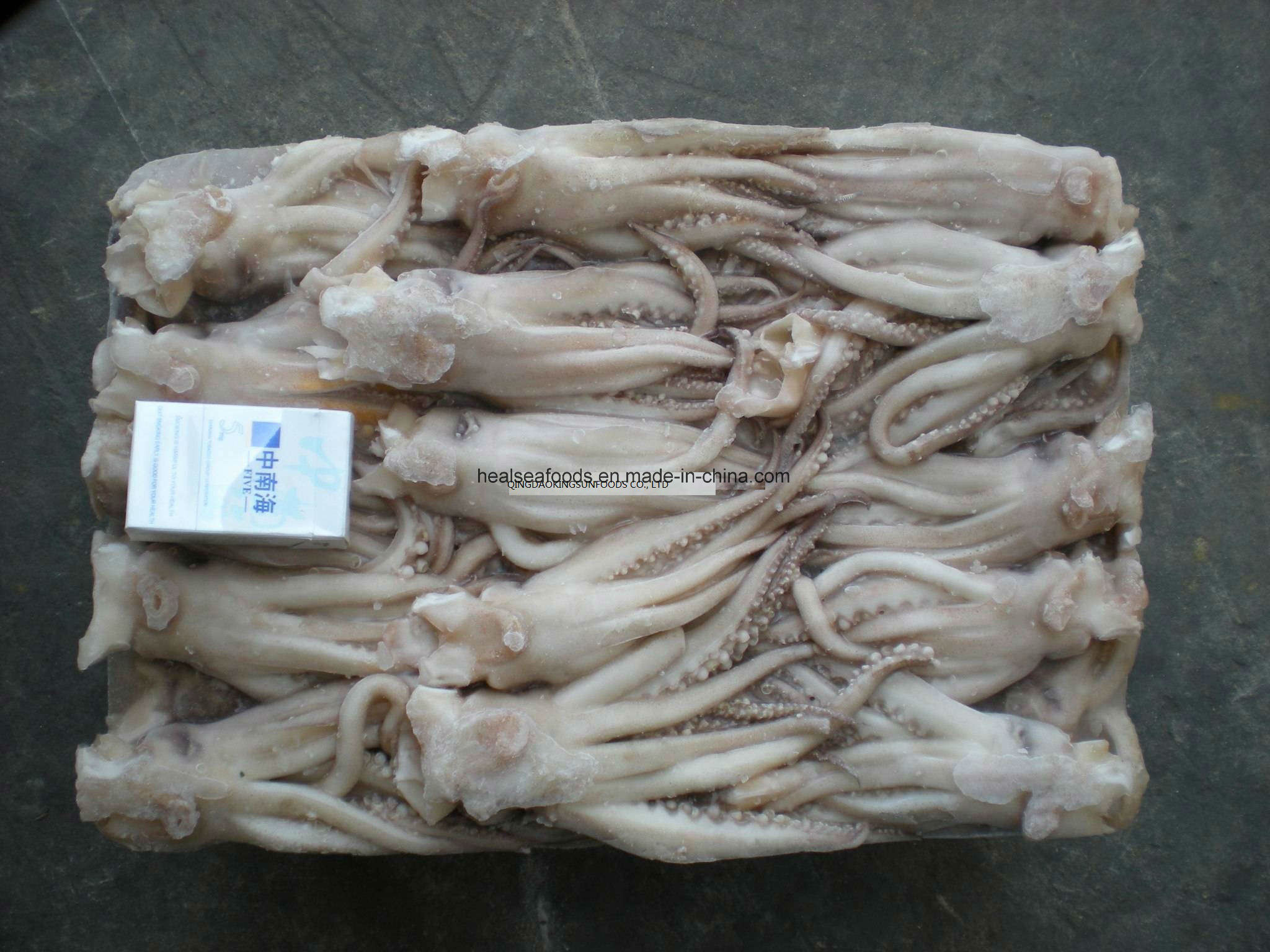 Frozen Illex Argentinus Squid Head
