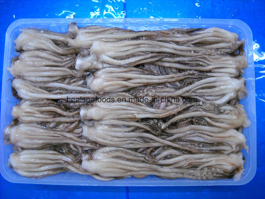 Frozen Illex Argentinus Squid Head