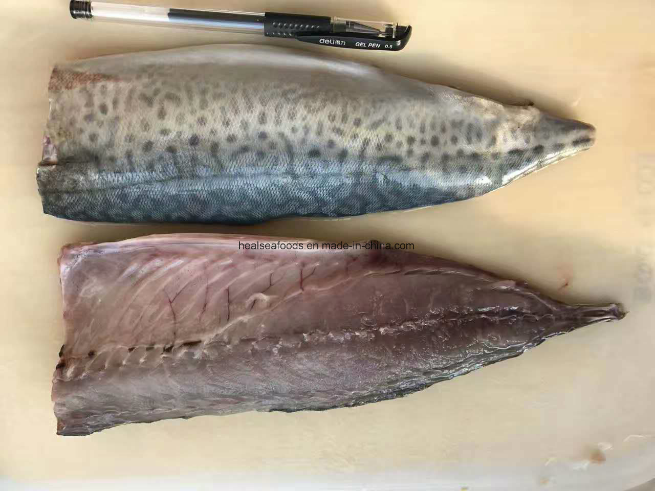 Frozen White Belly Mackerel on Sale