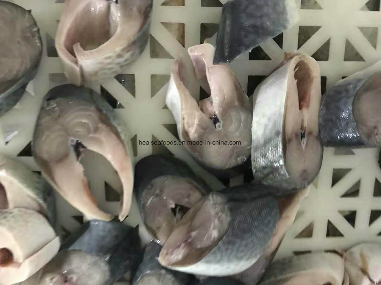 Frozen White Belly Mackerel on Sale