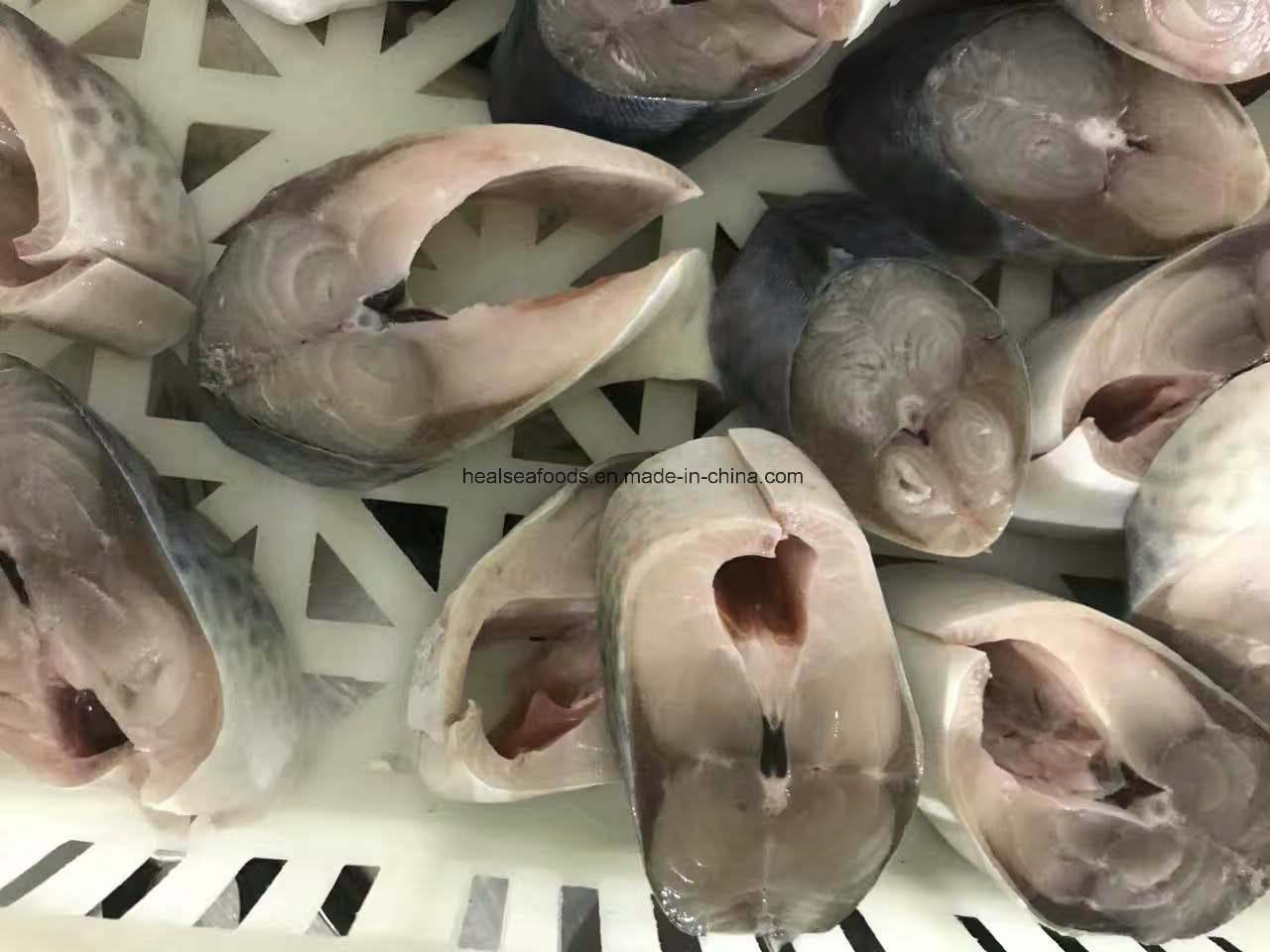 Frozen White Belly Mackerel on Sale