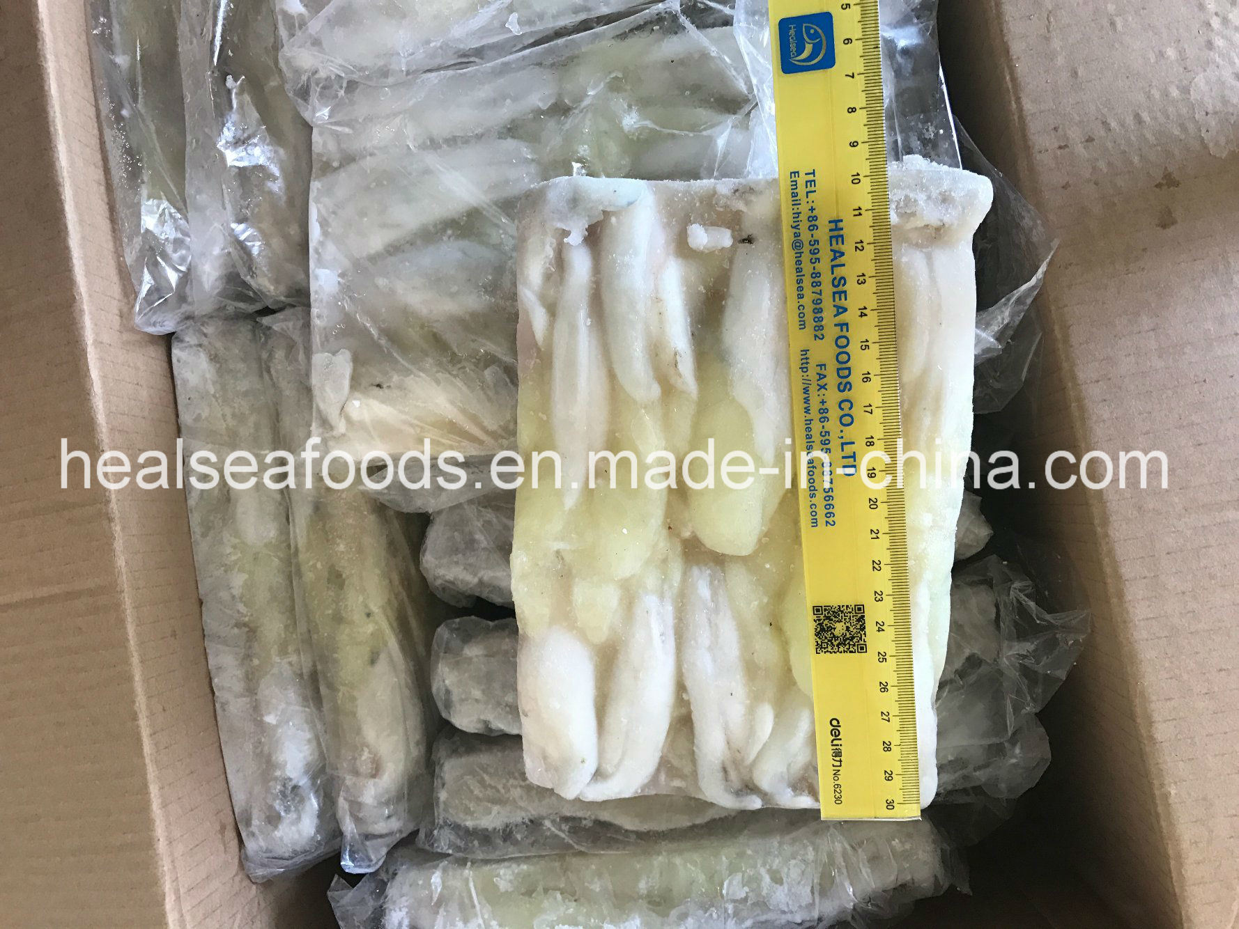 Frozen Illex Squid Roe/Squid Egg for Sale
