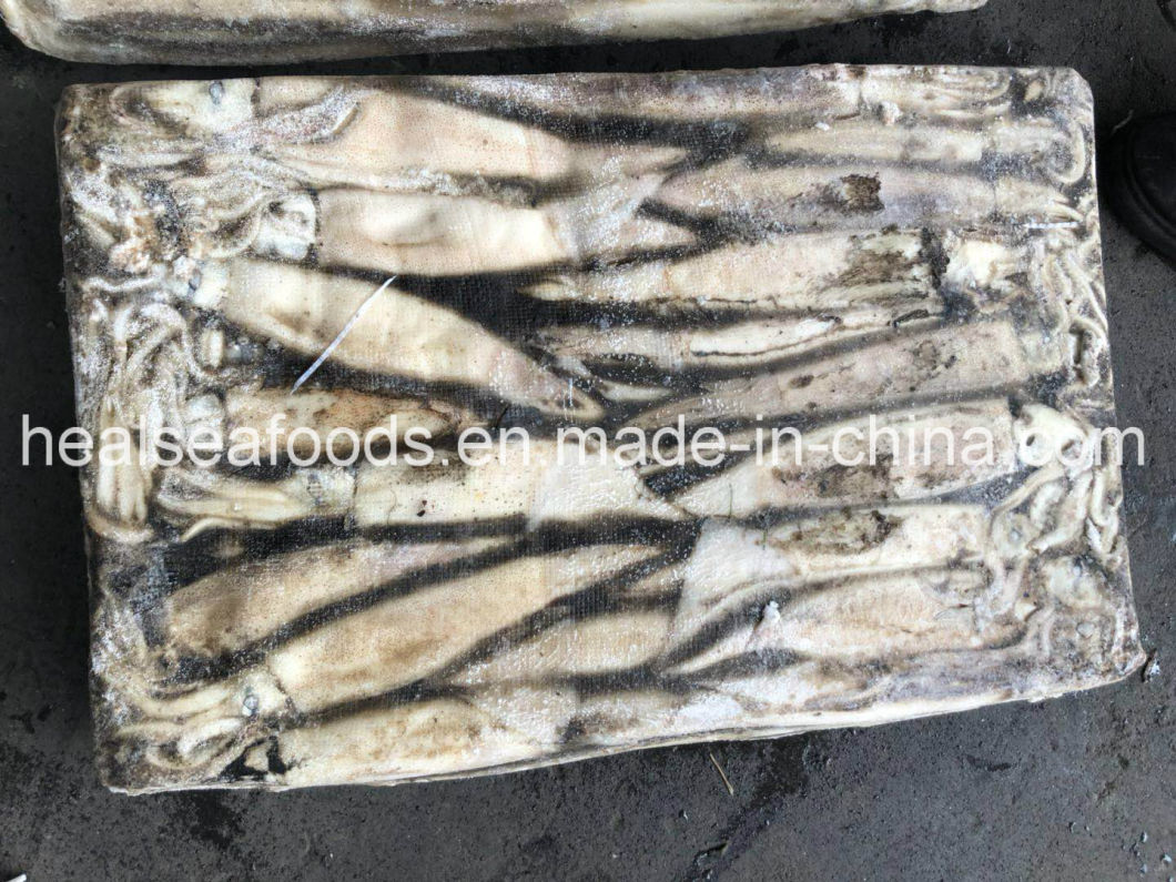 Jigger Caught Whole Round Frozen Argentina Illex Squid