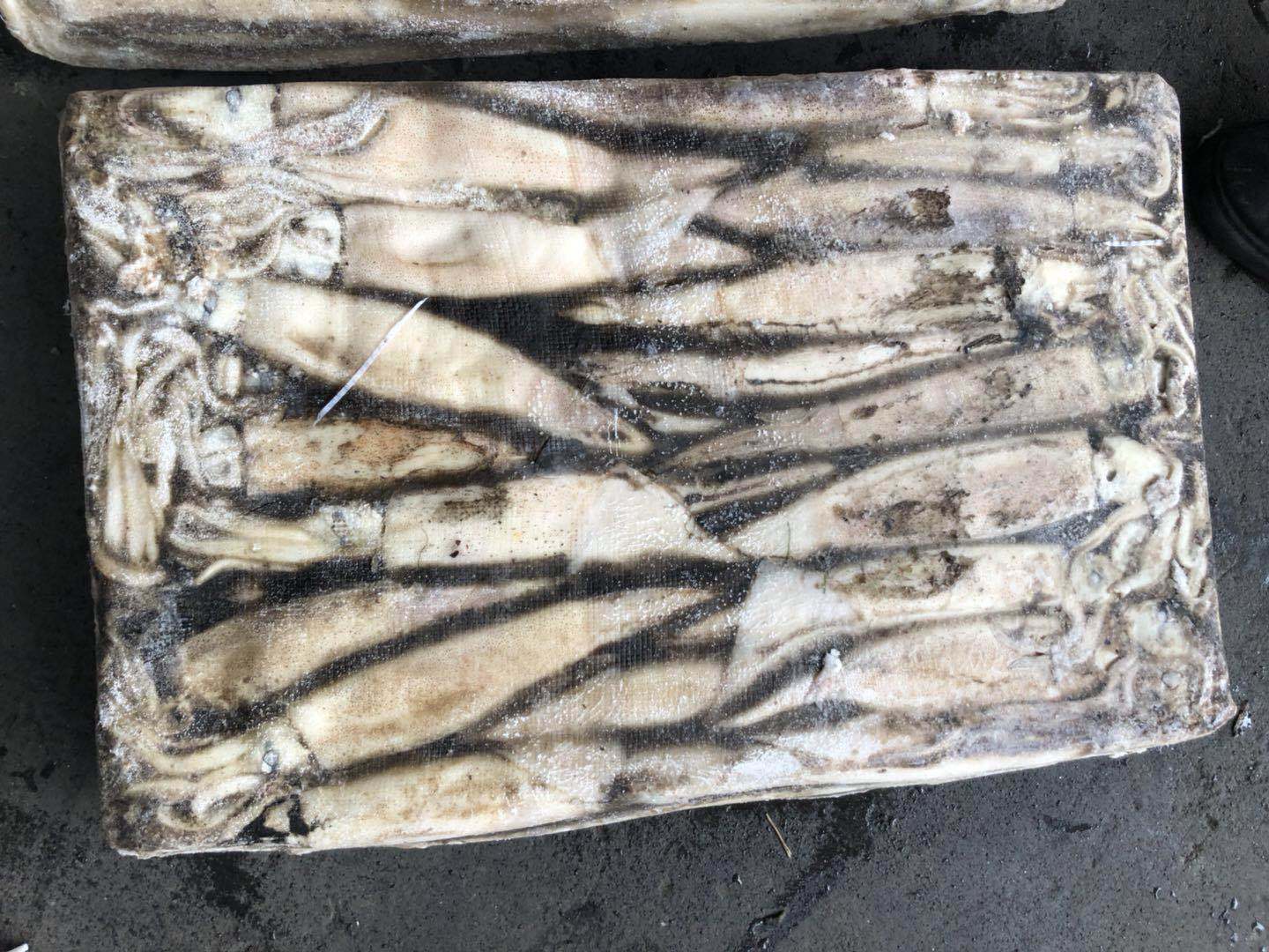 Jigger Caught Whole Round Frozen Argentina Illex Squid