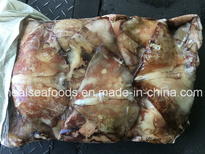 Supply Frozen Equator Squid Wings 100-300g