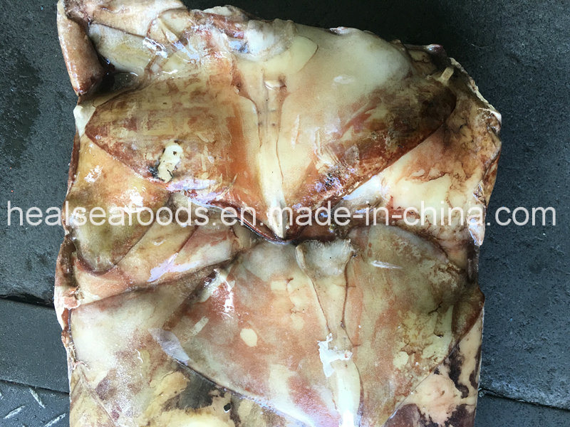 Supply Frozen Equator Squid Wings 100-300g