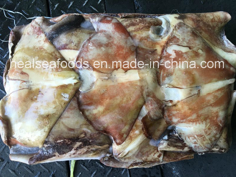 Supply Frozen Equator Squid Wings 100-300g