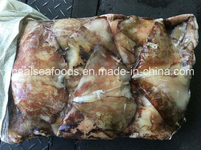 Supply Frozen Equator Squid Wings 100-300g