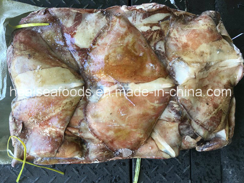 Supply Frozen Equator Squid Wings 100-300g