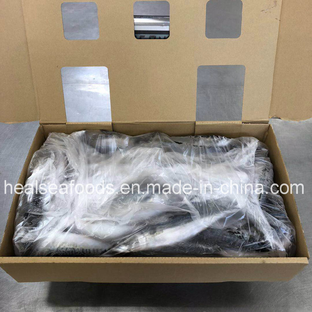 Large Quantity and New Stock Frozen Japanese Mackerel 200-400g