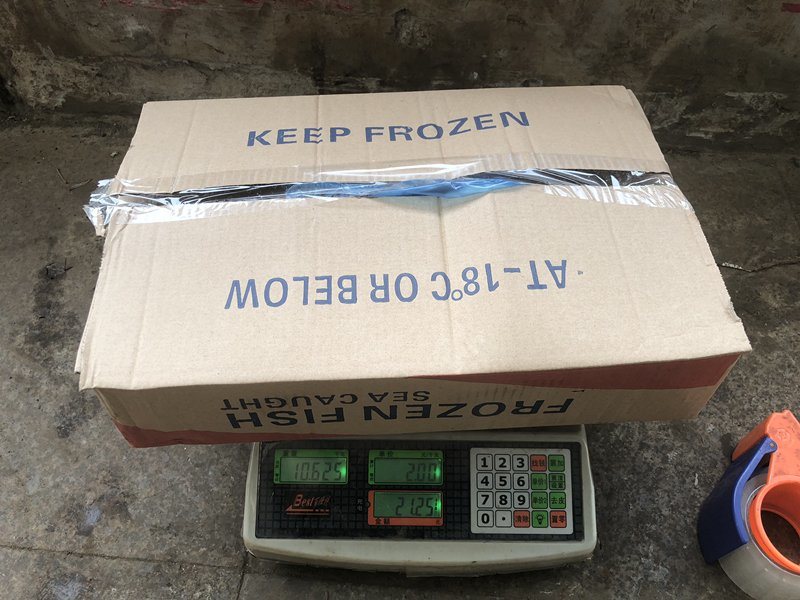 Supply Block Shape Frozen Pacific Mackerel 300-500g
