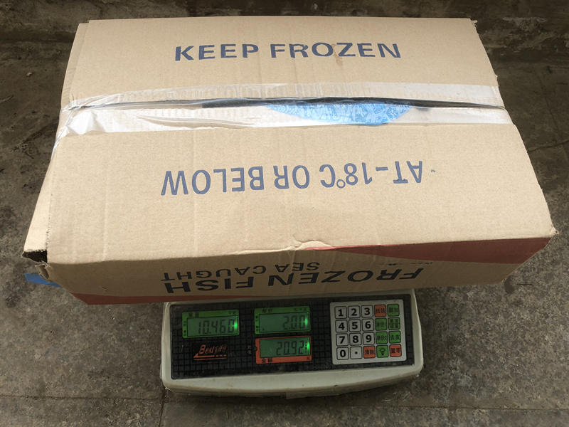 Supply Block Shape Frozen Pacific Mackerel 300-500g