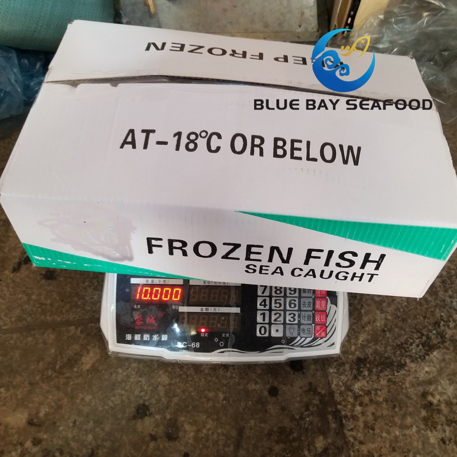 HACCP Block Bqf Mackerel and Frozen Pacific Horse Mackerel Fish