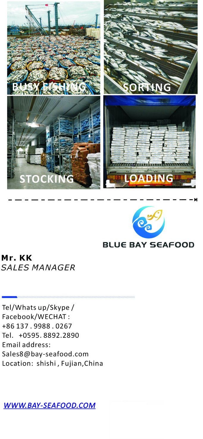 Seafrozen Moonfish Fresh Moon Fish Size 150-200g New Arrival Hot Sale for Indonesia Market